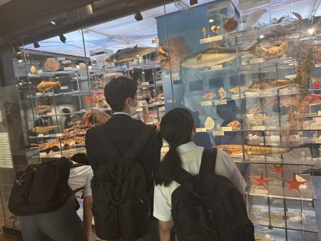 日本列島の素顔
