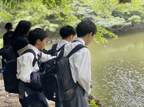 三四郎池の観察